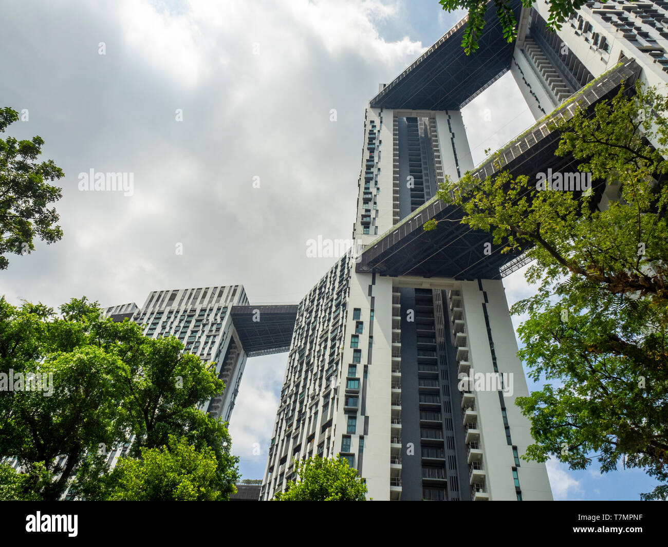 Pinnacle@Duxton complexe série de tours résidentielles avec skybridges Singapour. Banque D'Images