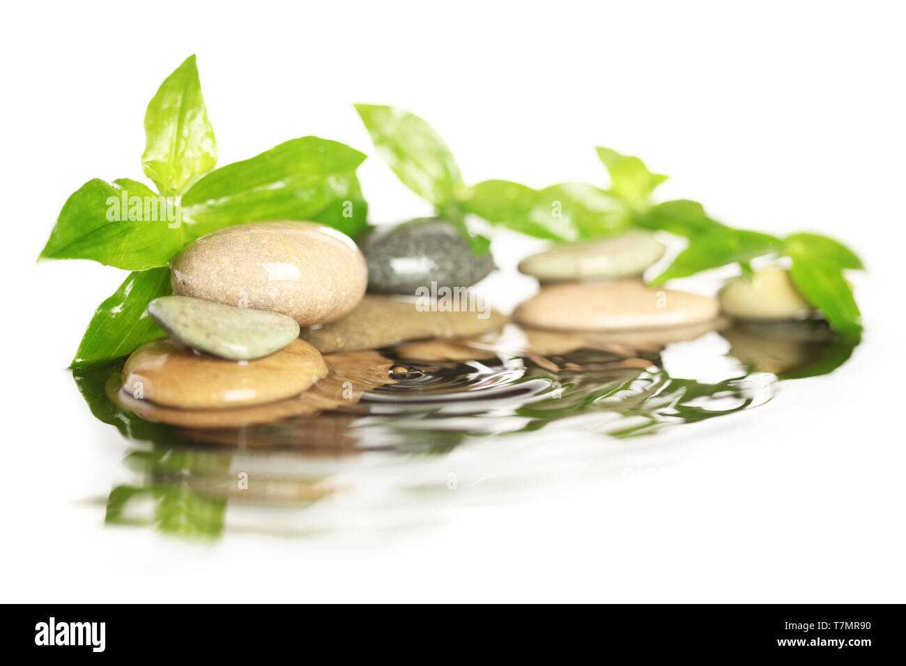 Des pierres dans l'eau avec des feuilles Banque D'Images