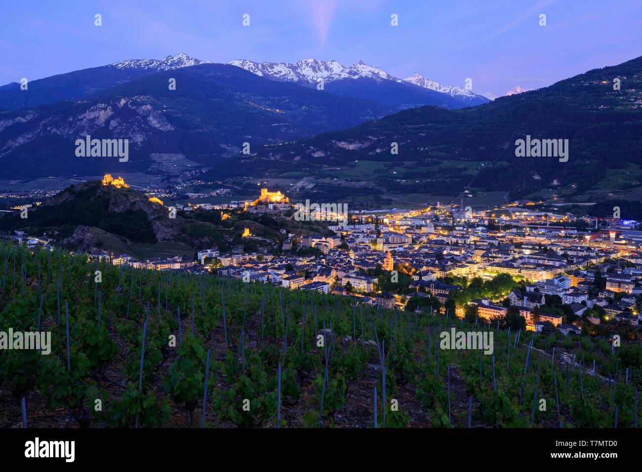 La Suisse, canton du Valais, Sion, Château de Tourbillon (13ème) sur la colline sur la gauche et la Basilique Notre Dame de Valère (13ème) sur la colline sur la droite, vignoble du Valais Banque D'Images