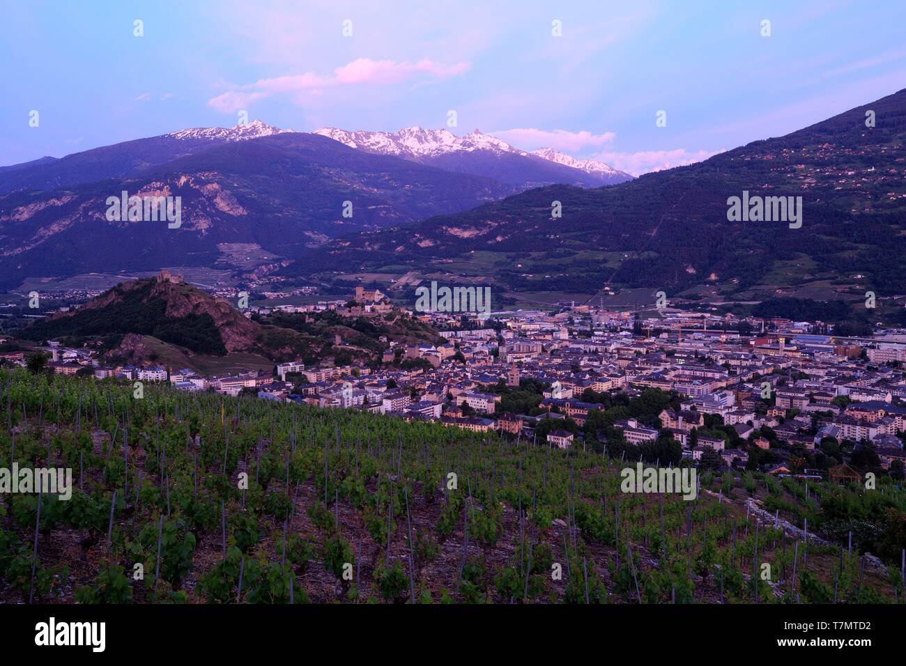 La Suisse, canton du Valais, Sion, Château de Tourbillon (13ème) sur la colline sur la gauche et la Basilique Notre Dame de Valère (13ème) sur la colline sur la droite, vignoble du Valais Banque D'Images