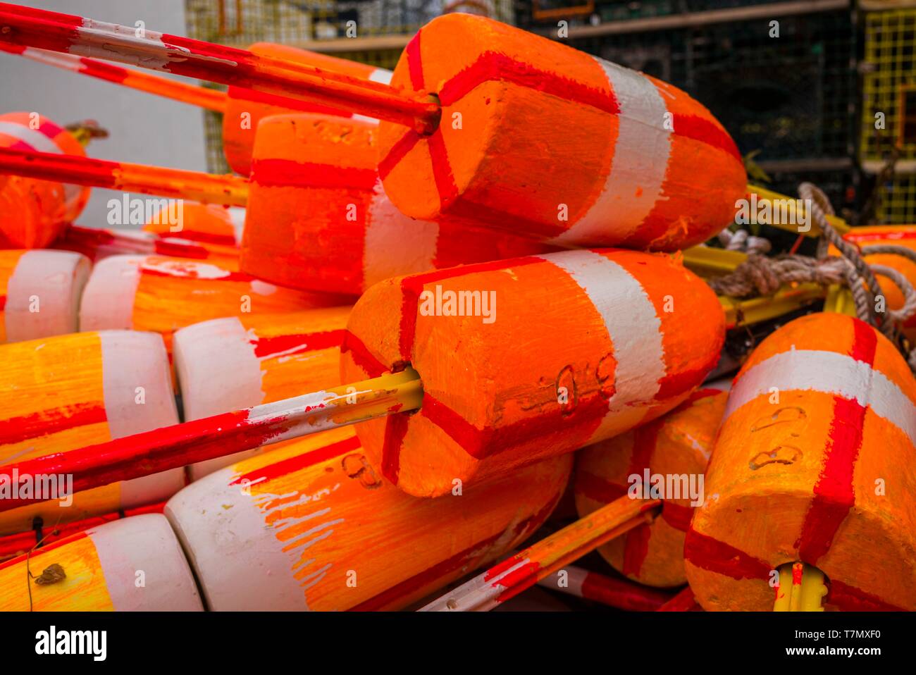 United States, New England, Cape Ann, Massachusetts, Rockport, bouées de homard Banque D'Images