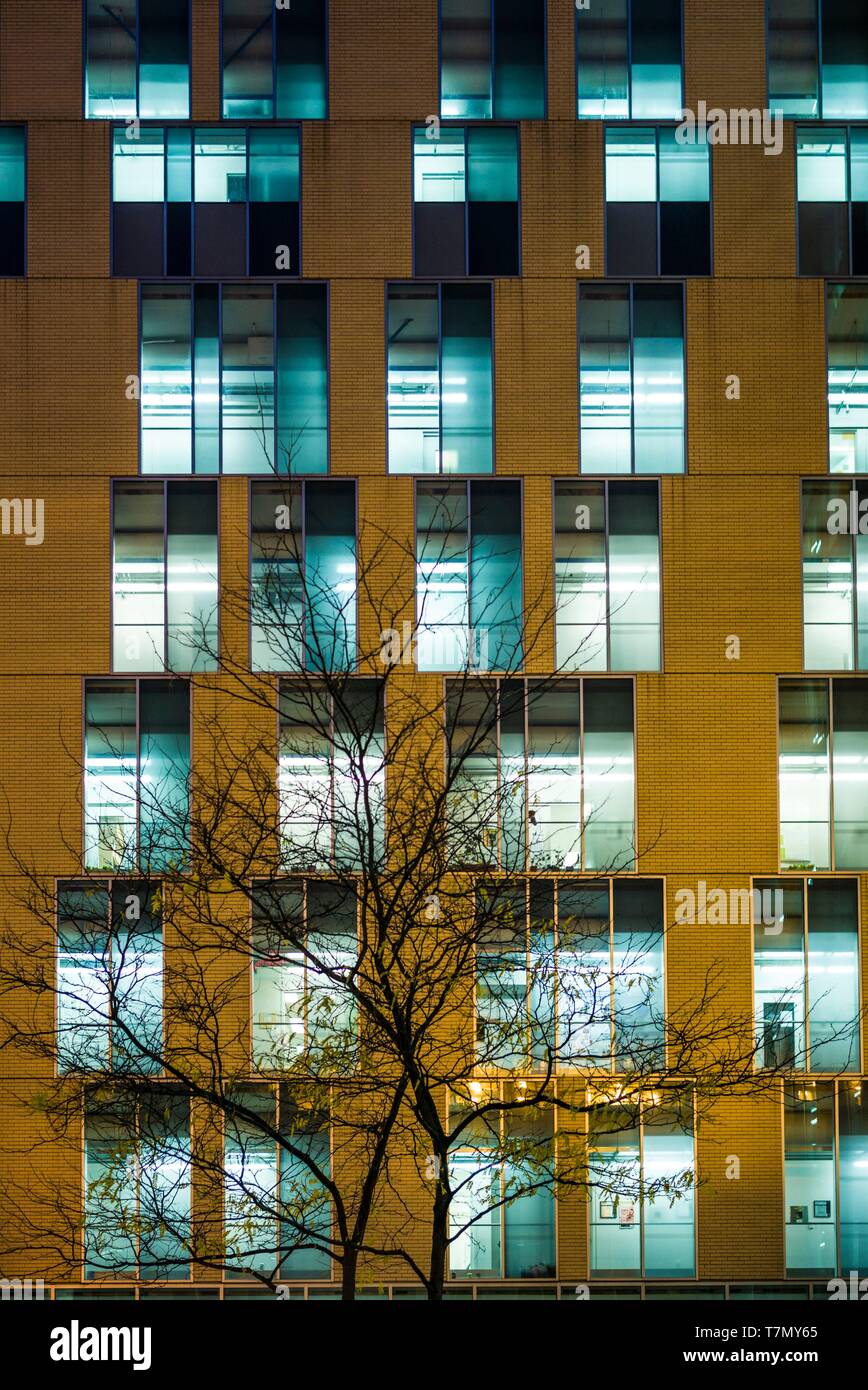 Canada, Québec, Montréal, UQAM, Université du Québec à Montréal, extérieur Banque D'Images