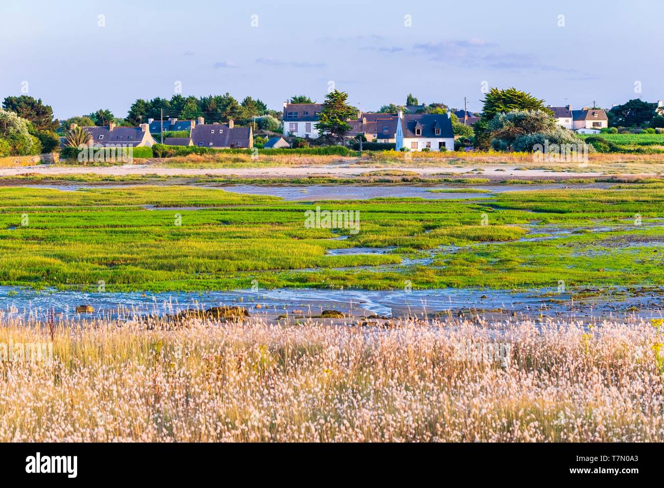 France, Côtes d'Armor Pleubian, sur le chemin de randonnée GR 34, Sillon de Talbert Réserve Naturelle Régionale Banque D'Images
