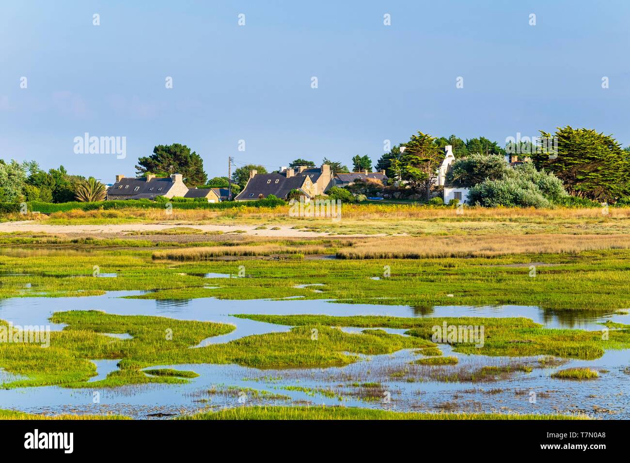 France, Côtes d'Armor Pleubian, sur le chemin de randonnée GR 34, Sillon de Talbert Réserve Naturelle Régionale Banque D'Images