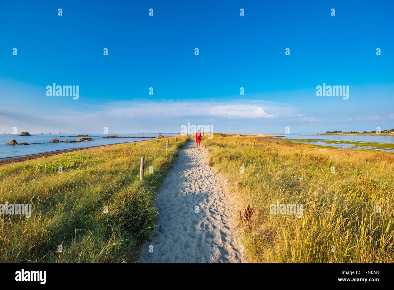 France, Côtes d'Armor Pleubian, sur le chemin de randonnée GR 34, le sillon de Talbert est un littoral constitué de galets et de sable entre les débouchés de rivières Trieux et Jaudy Banque D'Images