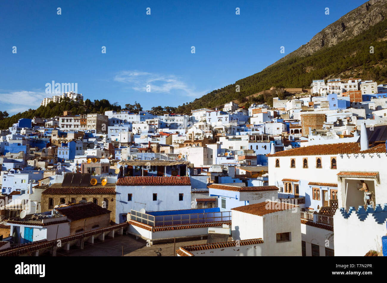 Chefchaouen, Maroc : toits de la médina, vieille ville, bien connu pour son architecture bleu-lavés. Banque D'Images