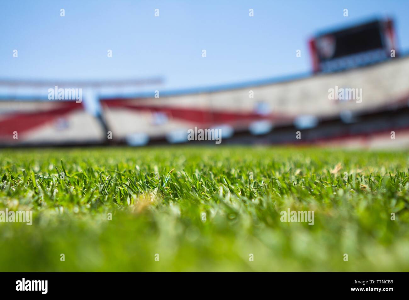 Vue rapprochée de l'herbe d'un terrain de soccer Banque D'Images