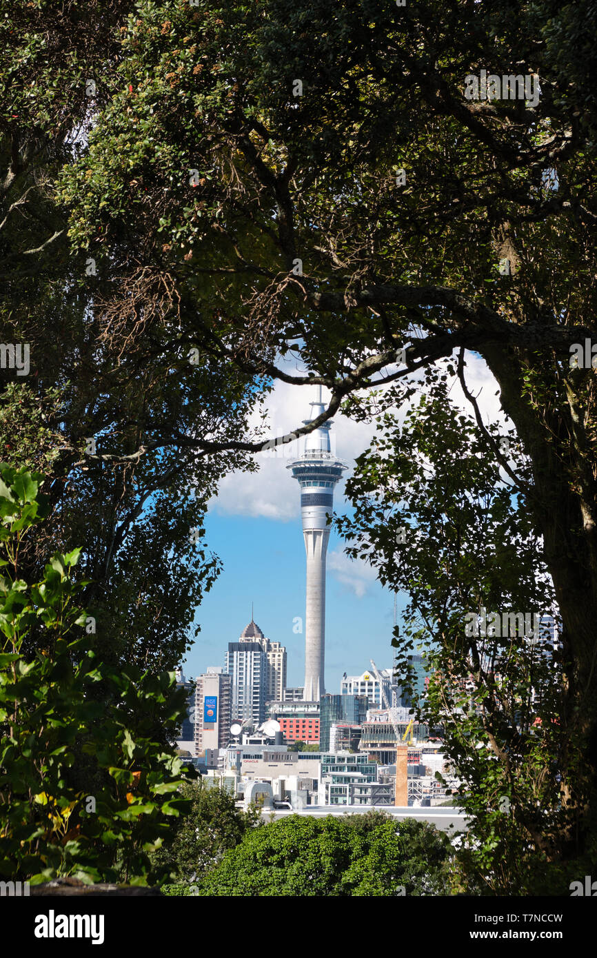 Cadre naturel d'arbres révélant la Sky Tower à Auckland. Banque D'Images