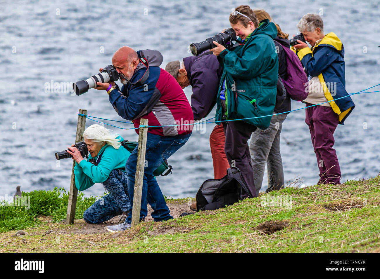 Groupe de photographes de prendre des photos d'oiseaux de mer sur l'Iles Farne, Northumberland, Angleterre. Mai 2018. Banque D'Images