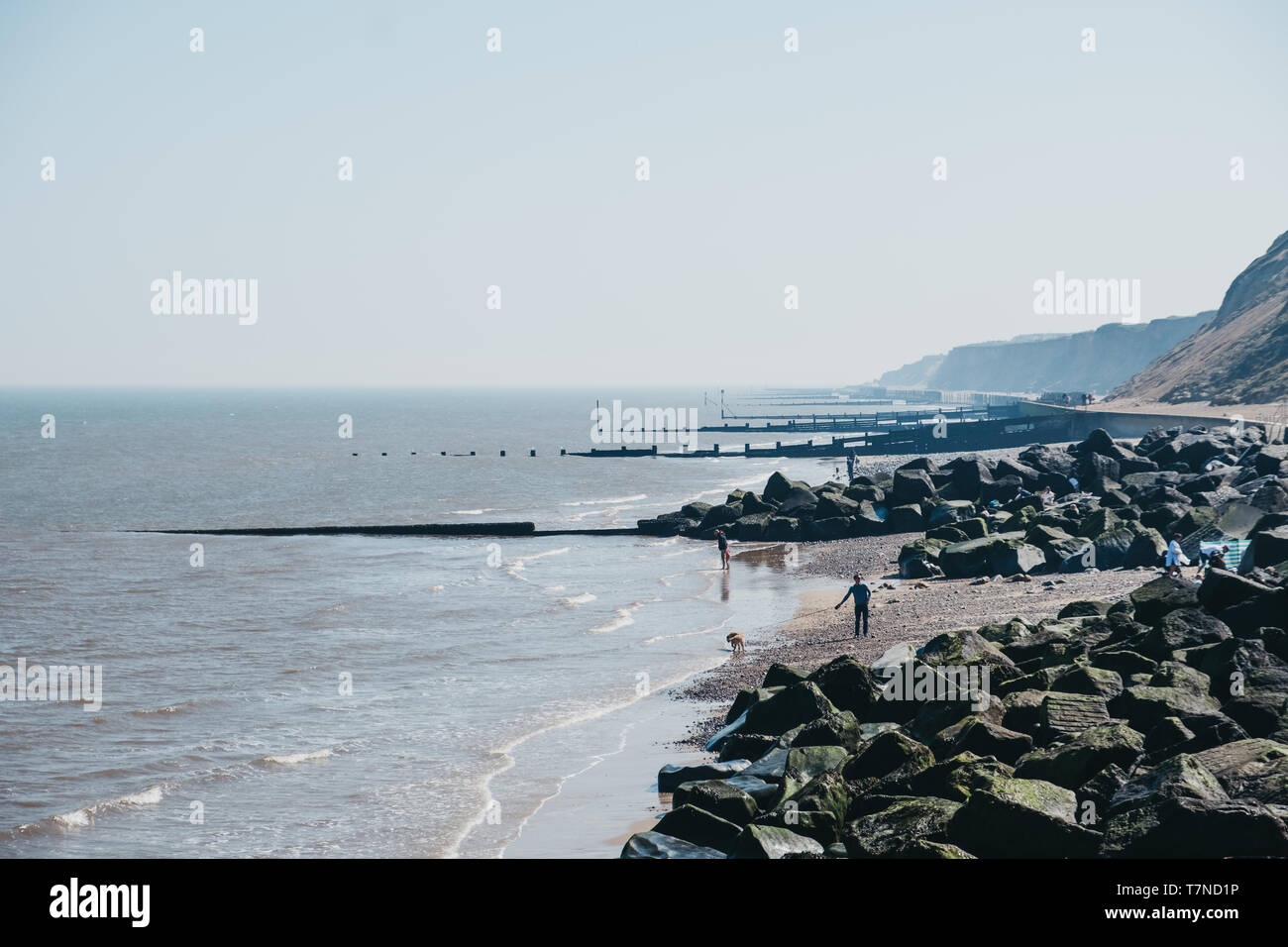 Sheringham, UK - 21 Avril 2019 : les personnes avec des chiens en journée ensoleillée sur une plage de Sheringham. Sheringham est une ville balnéaire dans le comté Banque D'Images