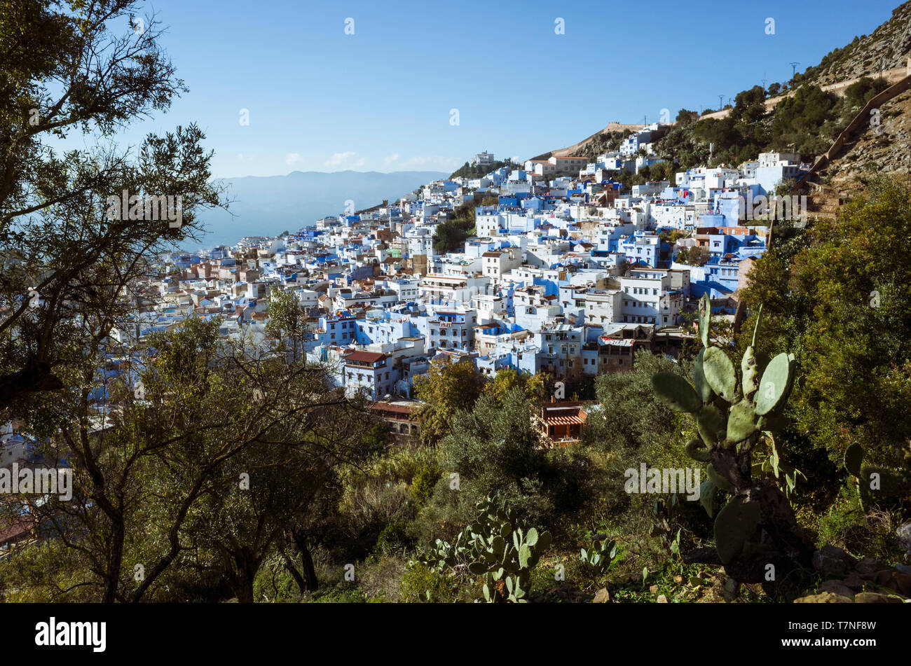 Chefchaouen, Maroc : vue générale de la médina, vieille ville, bien connu pour son architecture bleu-lavés. Banque D'Images