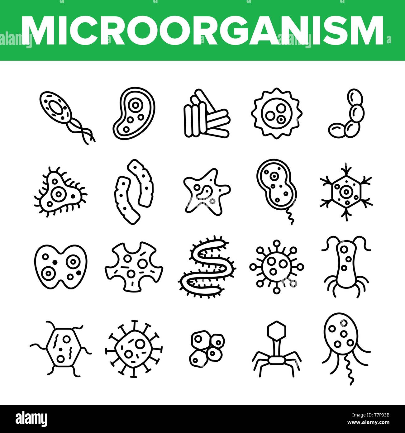 Les cellules des microorganismes fine ligne Icons Vector Set. Les virus, bactéries, organismes unicellulaires, les protozoaires Illustrations linéaire. Cocci et Bacillus. Infecti Illustration de Vecteur