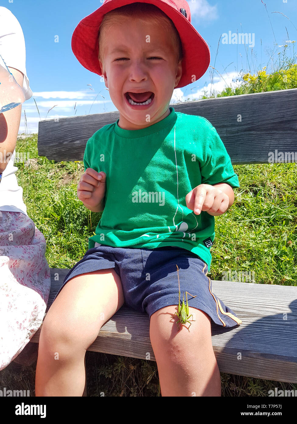 Un petit garçon est en train de pleurer à cause d'un insecte sur sa jambe Banque D'Images