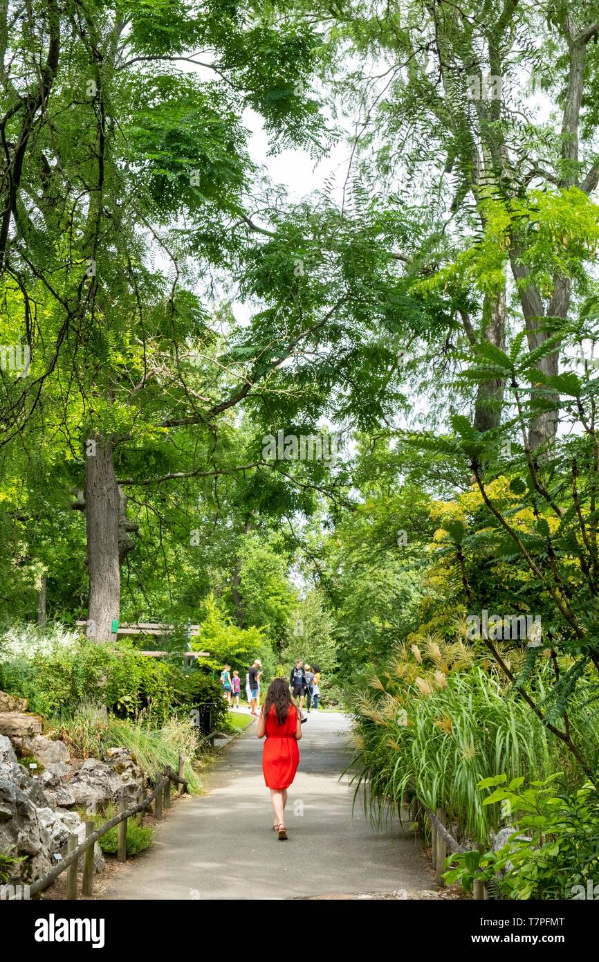 France, Loire Atlantique, Nantes, le Jardin des Plantes Banque D'Images