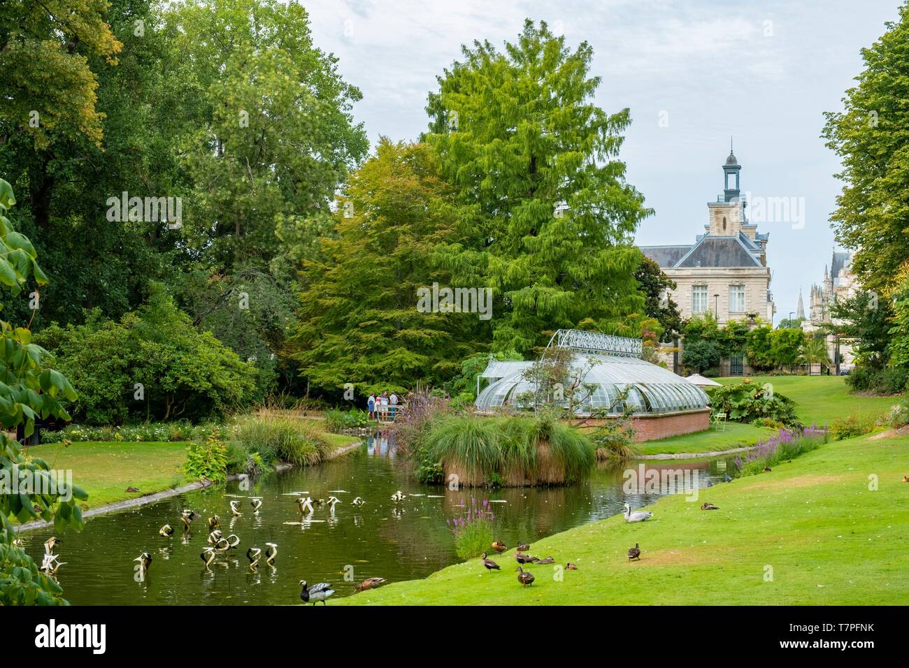 France, Loire Atlantique, Nantes, le Jardin des Plantes Banque D'Images