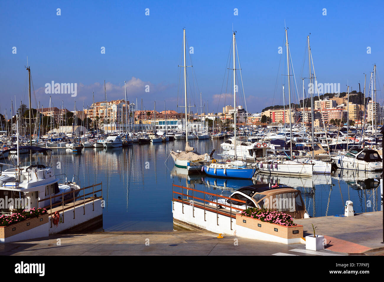 Cale en Dénia Marina dans le Port de Dénia, sur la Costa Blanca, Espagne Banque D'Images