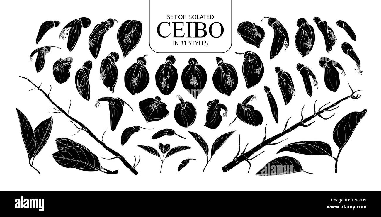 Ensemble de silhouette isolée Ceibo dans 31 styles. Cute vector illustration fleurs dessinés à la main, en noir et blanc indiquant plan sur fond blanc. Illustration de Vecteur