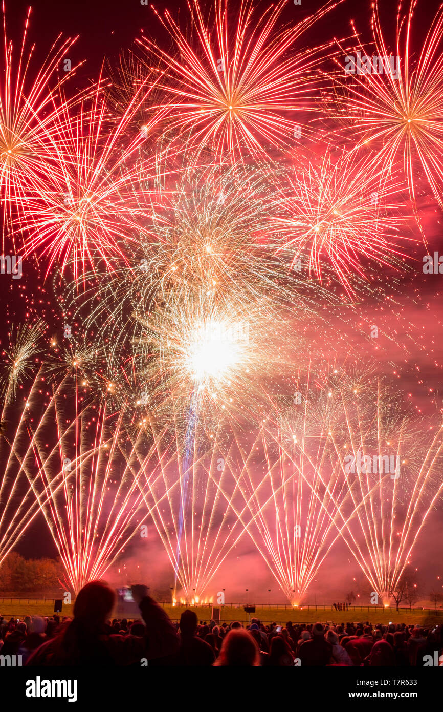 Le ciel est en feu avec couleur à la fonction d'artifice en l'honneur de feu nuit à Westpoint Showgrounds. Exeter, Devon, UK, prises de l'arrière de la foule Banque D'Images