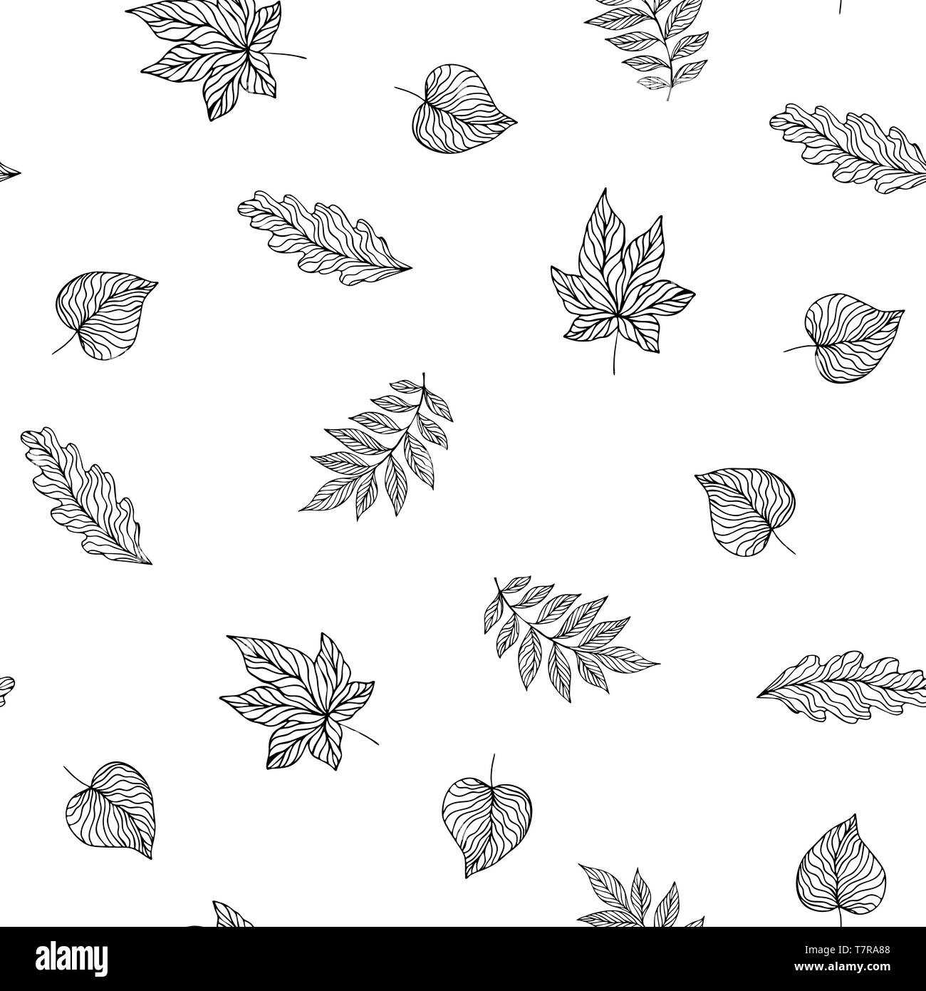 Modèle transparent avec des feuilles avec des feuilles de fond floral. Banque D'Images