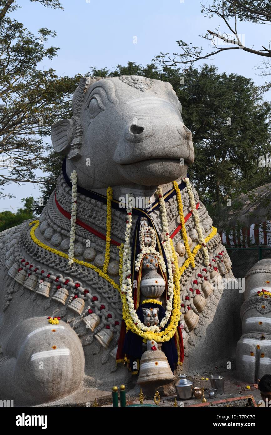 Nandi (Taureau) statue de Chamundi Hills, Mysore, Inde du Sud Banque D'Images