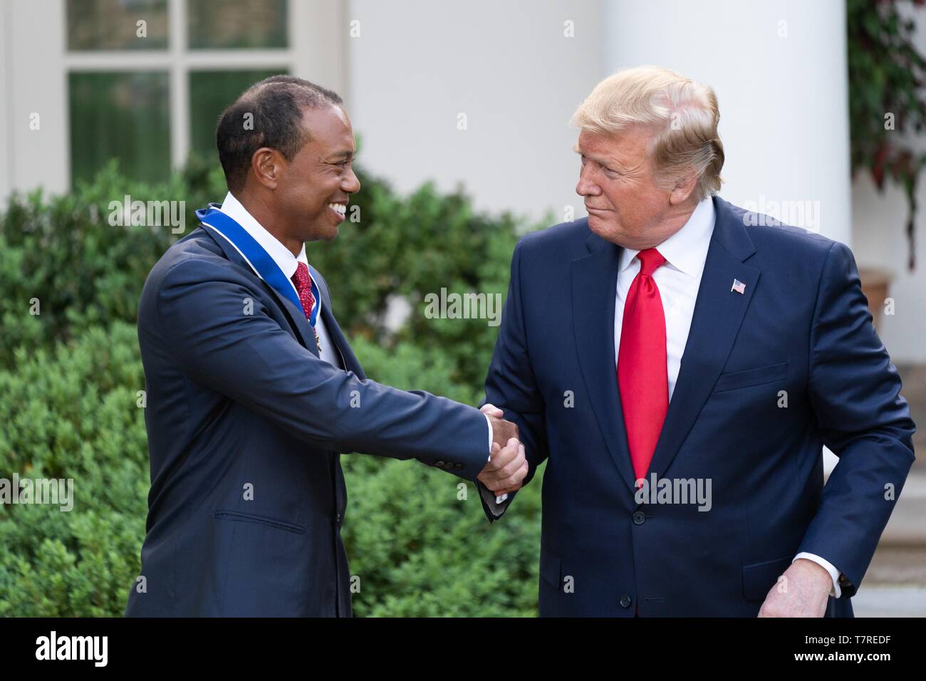 Président américain Donald Trump félicite golfeur Tiger Woods après la présentation de la Médaille présidentielle de la liberté dans la roseraie de la Maison Blanche le 6 mai 2019 à Washington, DC. Banque D'Images