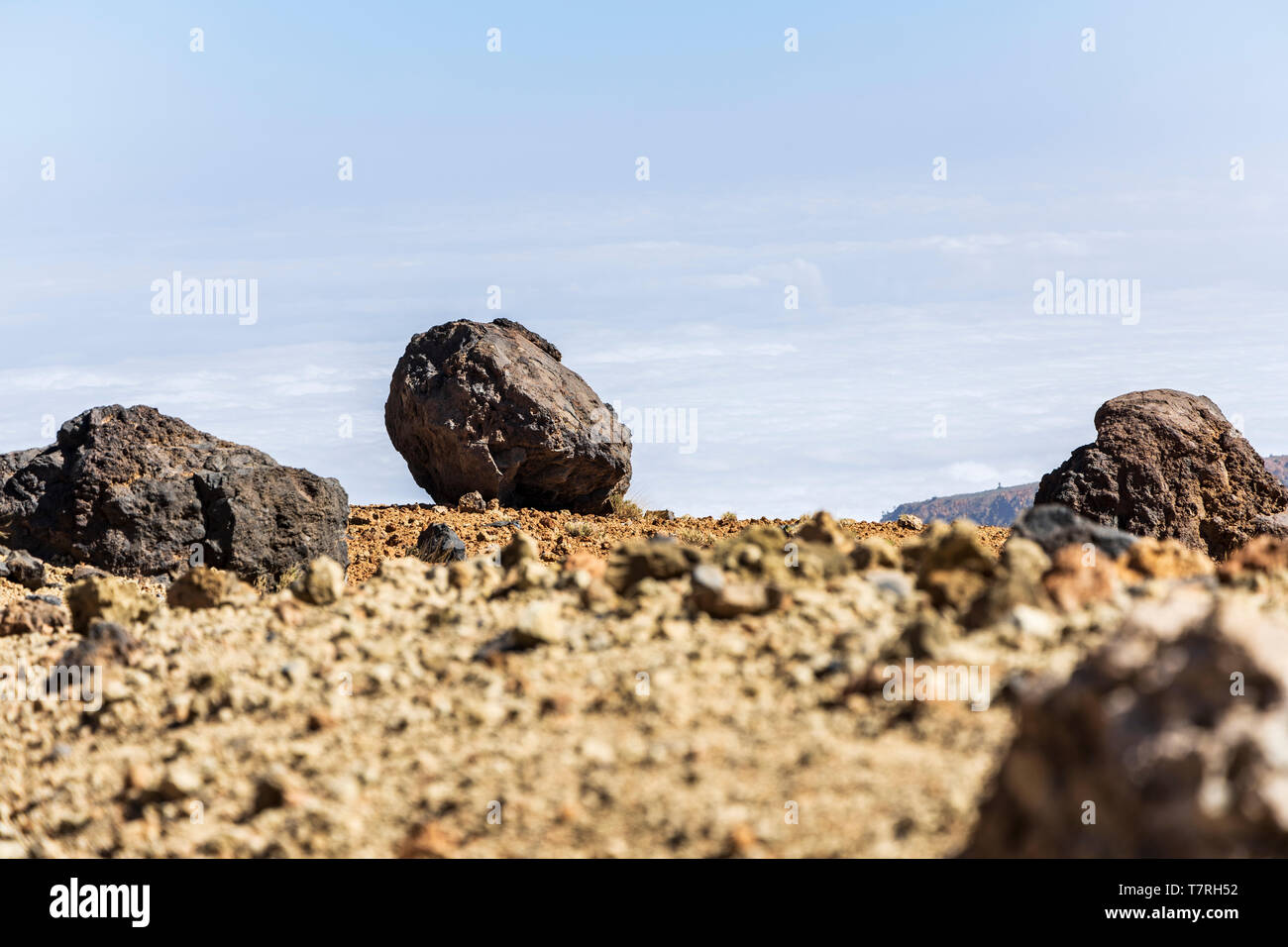 Teides les oeufs, de grandes pierres de lave sur la Montaña Blanca, Las Cañadas del Teide, Tenerife, Canaries, Espagne Banque D'Images