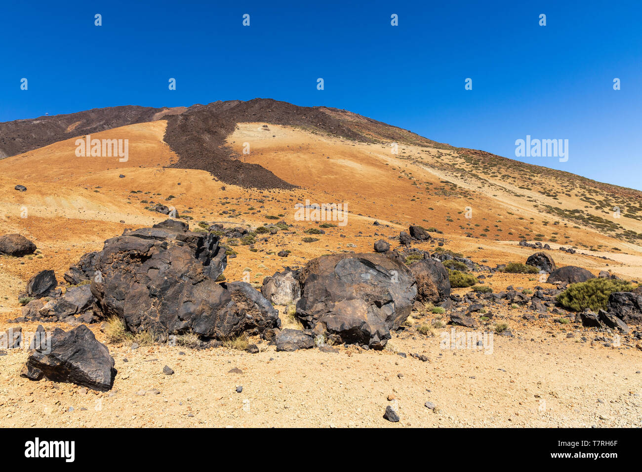 Teides les oeufs, de grandes pierres de lave sur la Montaña Blanca, Las Cañadas del Teide, Tenerife, Canaries, Espagne Banque D'Images
