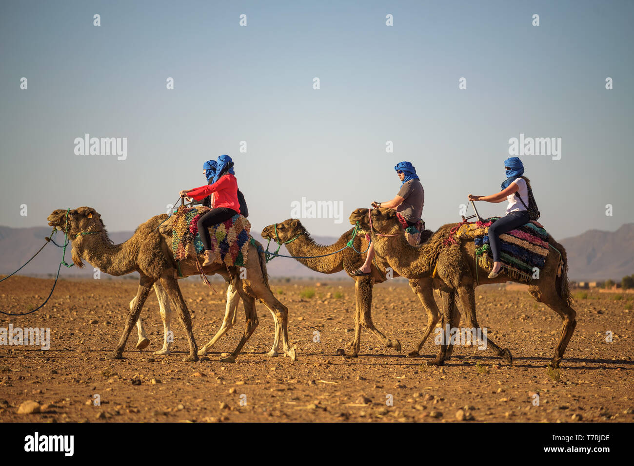 Caravane de chameaux auprès des touristes traversant le désert du Sahara Banque D'Images