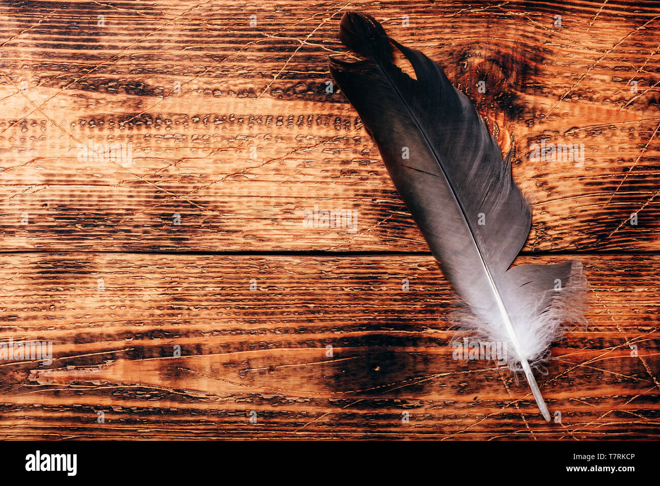 Une plume plus vieux faucon table en bois Banque D'Images