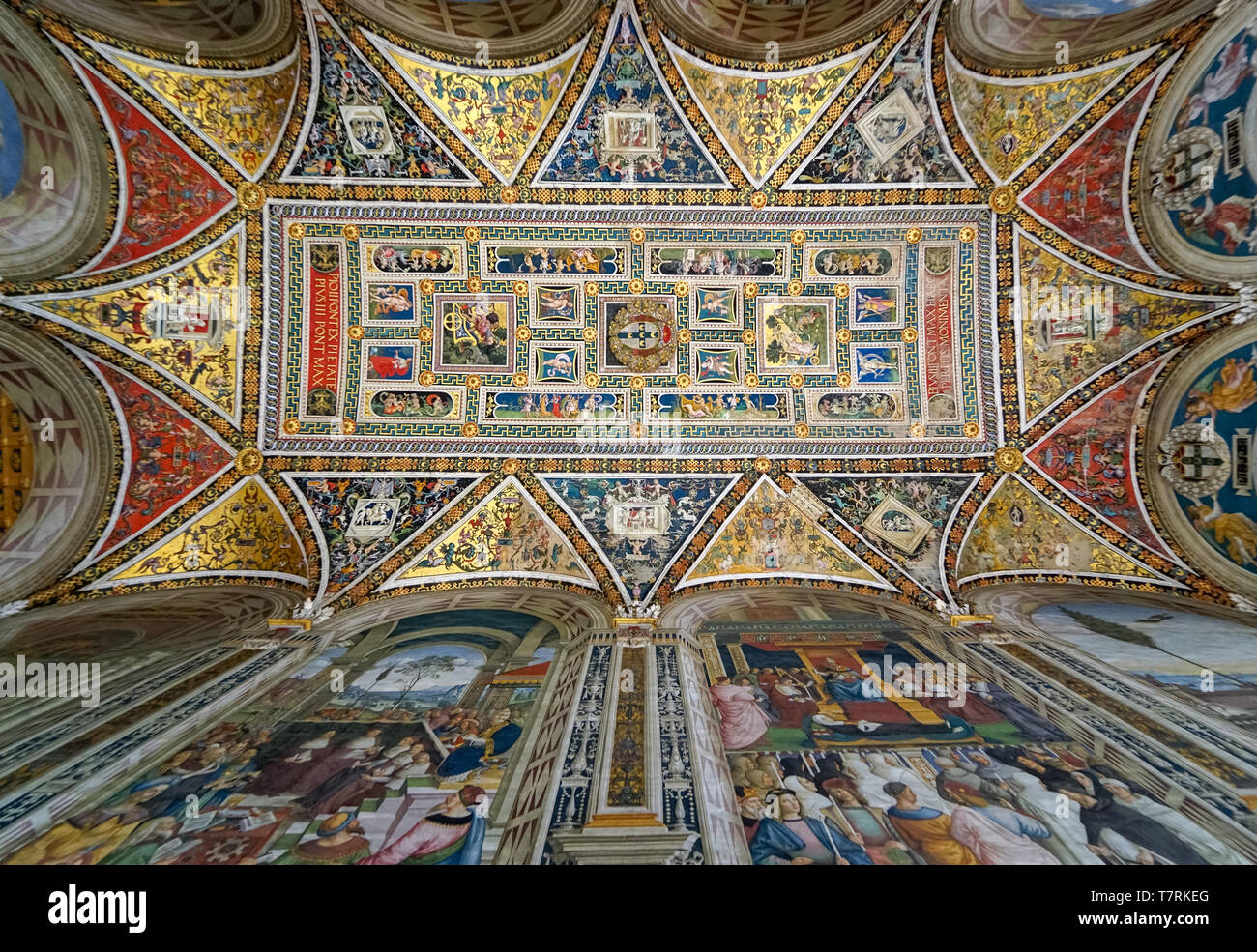 La peinture sur le plafond dans la Bibliothèque Piccolomini à Sienne Cathédrale (Duomo), de l'Italie. Banque D'Images