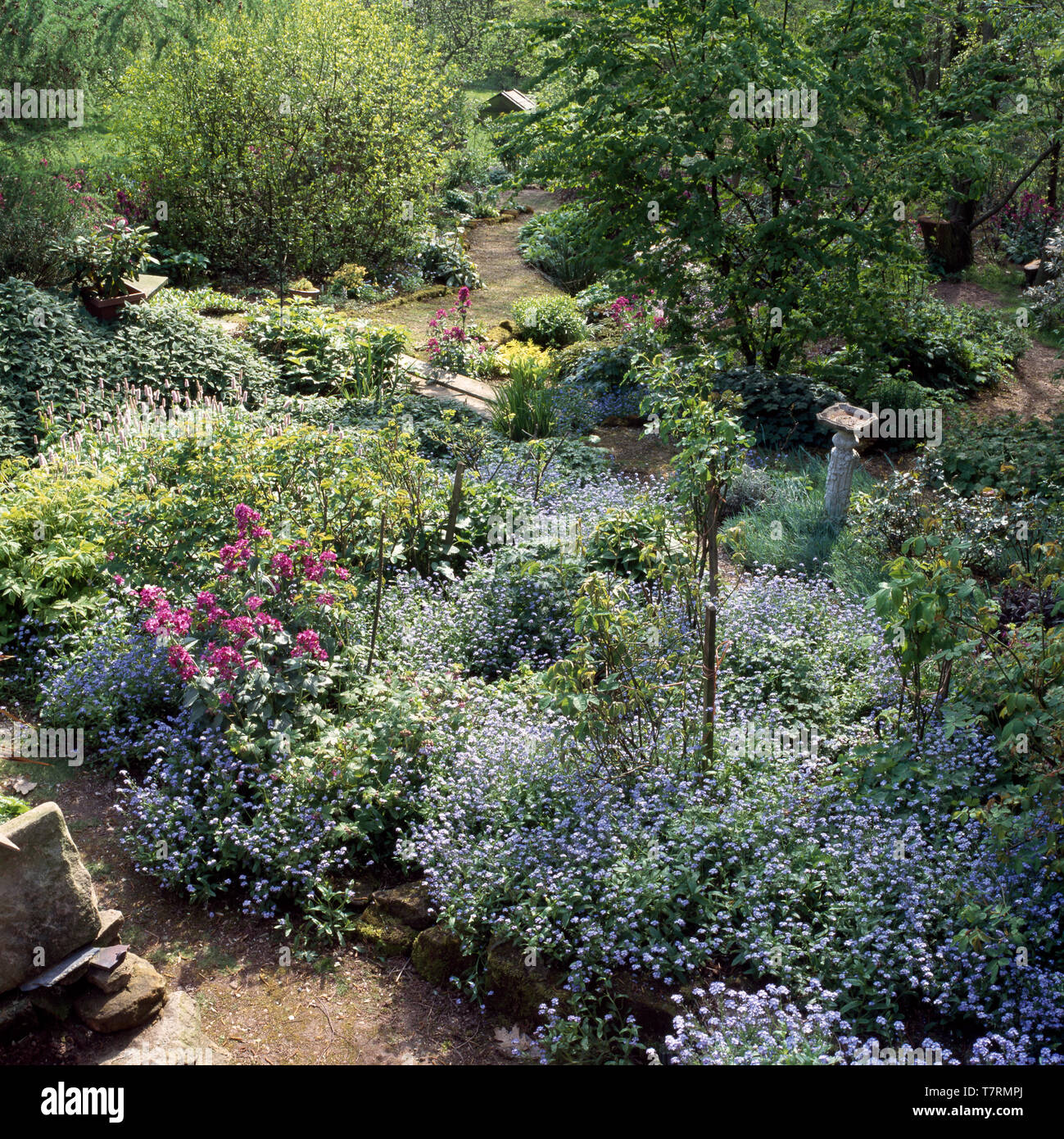 Aménager un jardin escarpé