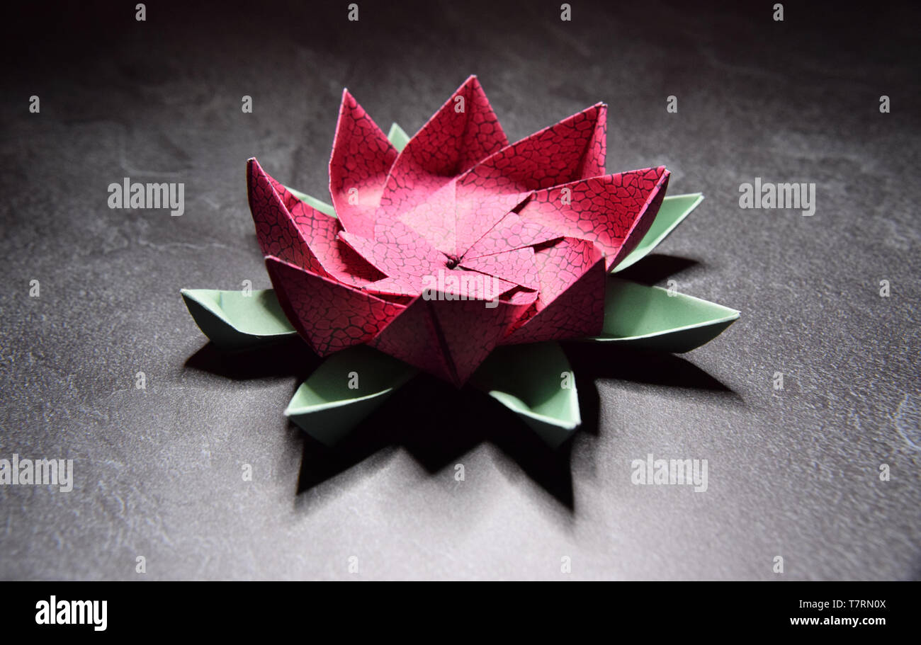 Origami Rose Fleur De Lotus Ars Et De Lartisanat Lart