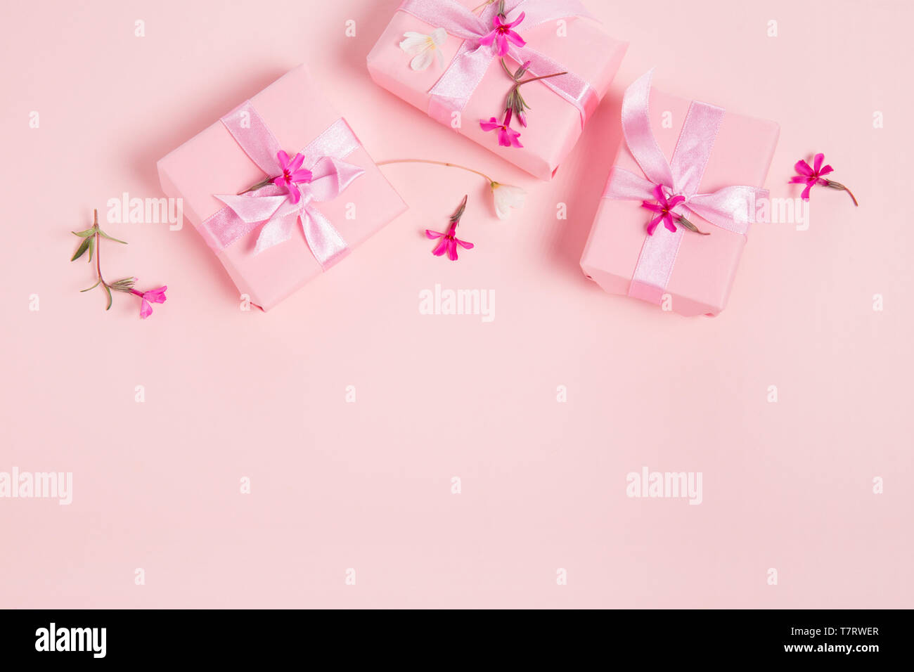 Fond rose festive. Avec cadeaux de satiné et de petites fleurs rose clair rose foncé sur fond pastel. Banque D'Images