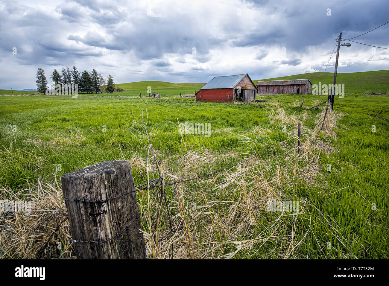 Une vieille grange rouge dans les champs dans la région de palouse Washington. Banque D'Images