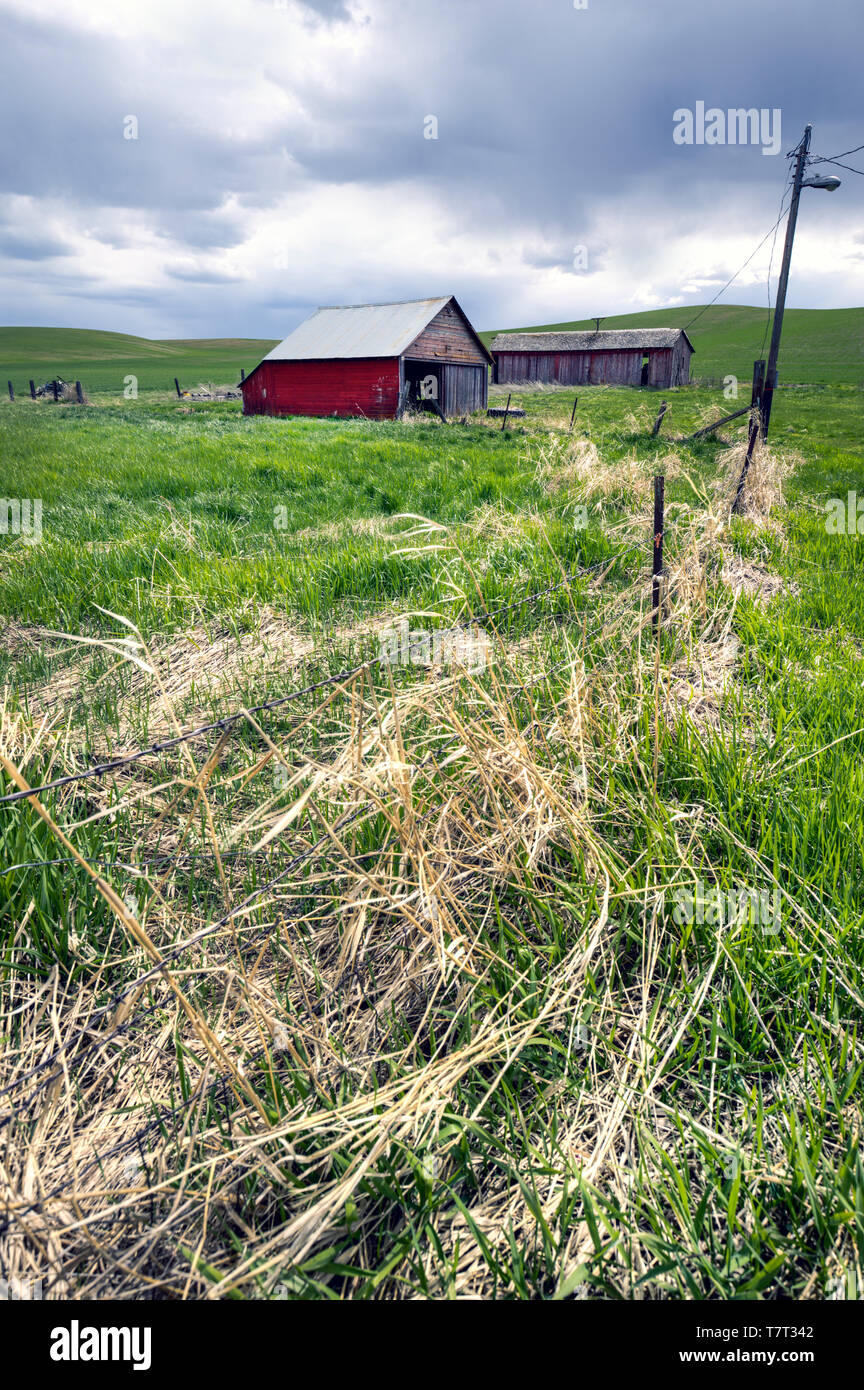 Une vieille grange rouge dans les champs dans la région de palouse Washington. Banque D'Images