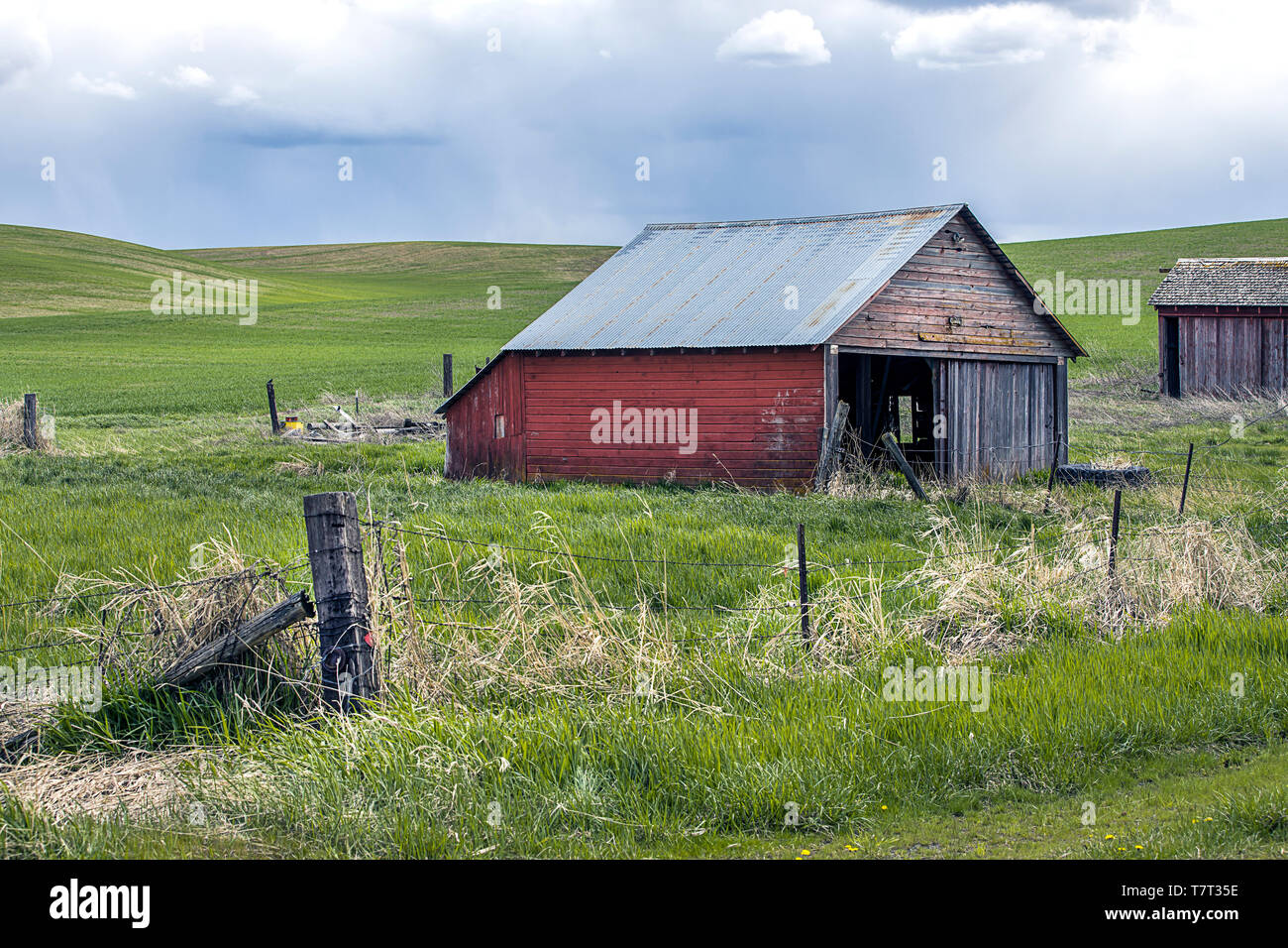 Une vieille grange rouge dans les champs dans la région de palouse Washington. Banque D'Images