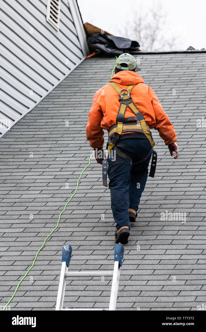 Chambre avec couleur gris maison et de la construction de l'homme uniformes orange marche sur des bardeaux de toiture et l'échelle au cours de la réparation Banque D'Images