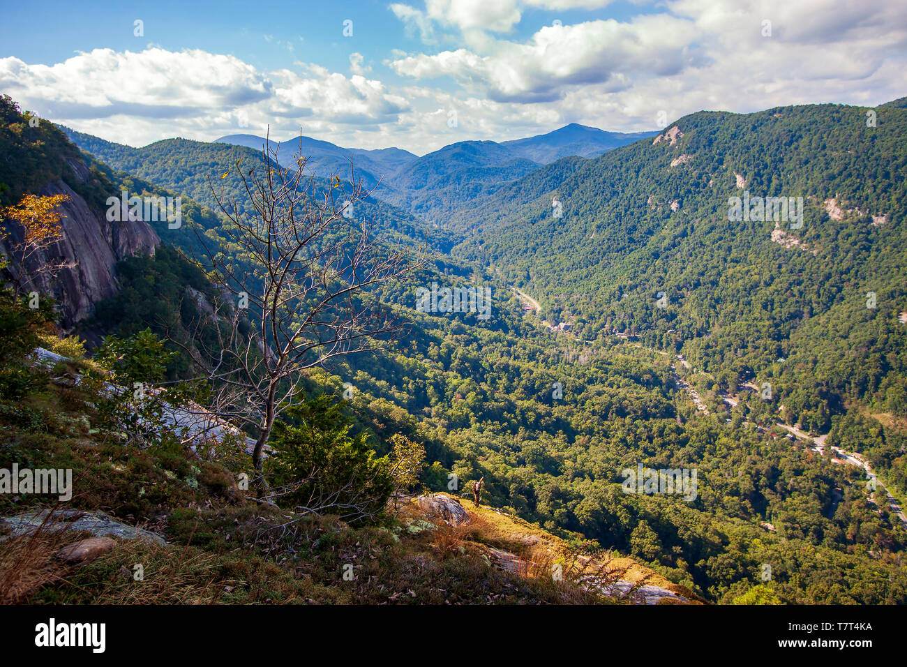 La vallée ensoleillée dans les Blue Ridge Mountains de Caroline du Nord. Banque D'Images