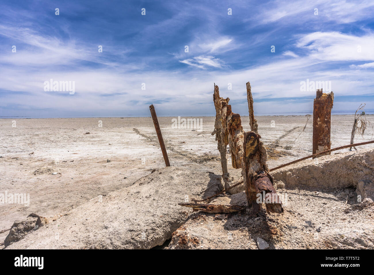 Seul dans la mer de Salton Californie Banque D'Images