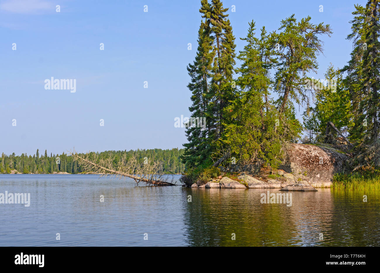 Lac Dogtooth Rushing River dans le parc provincial de l'Ontario Banque D'Images