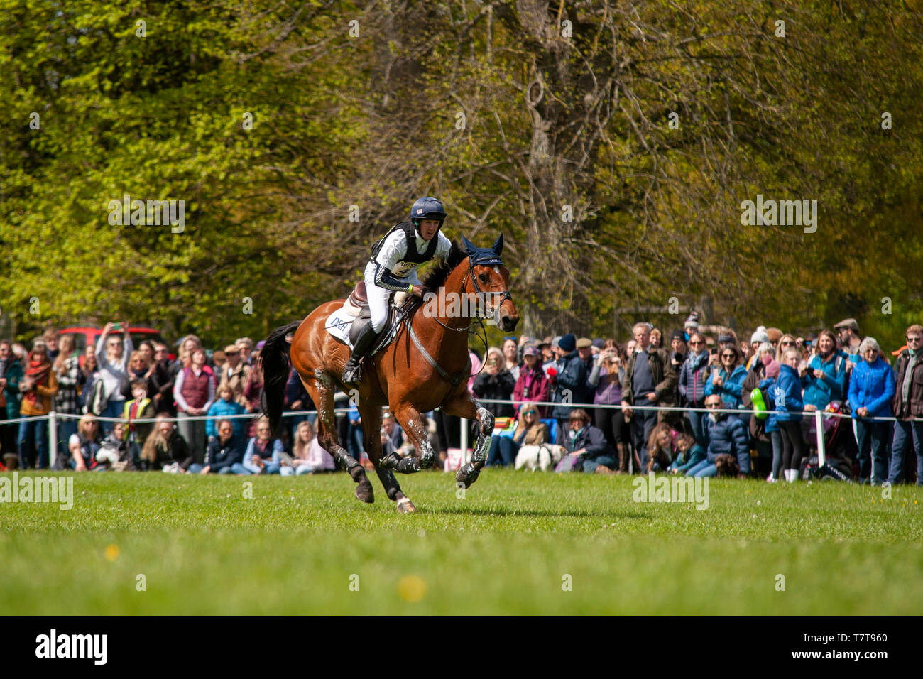 Badminton, Gloucestershire, Royaume-Uni, 4 mai 2019, Tom McEwen équitation Toledo De Kerser durant la phase de cross-country 2019 de la Mitsubishi Motors Badminton Horse Trials, crédit:Jonathan Clarke/Alamy Stock Photo Banque D'Images