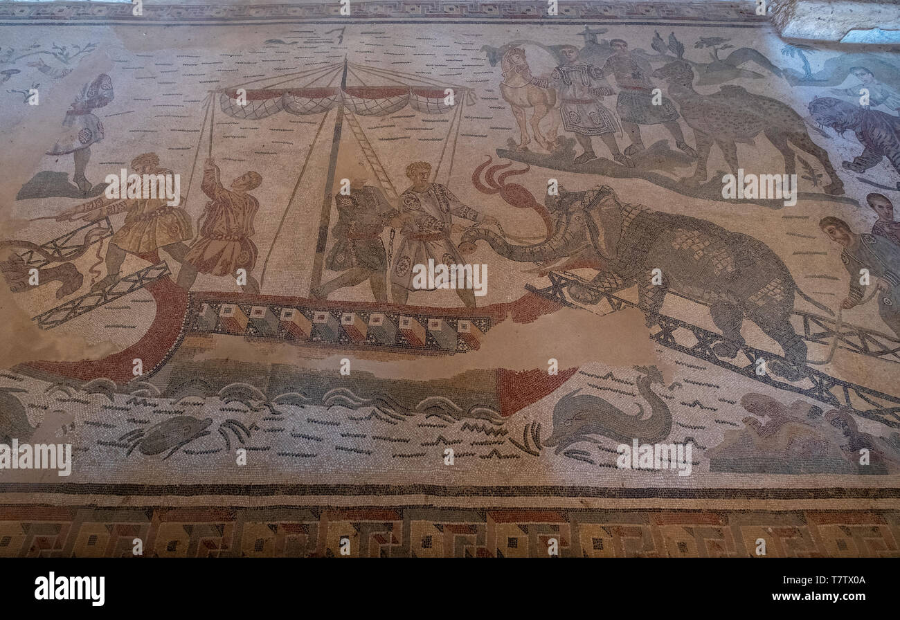 Grande mosaïque Recherche de la capture et de transport des animaux en mosaïque romaine la Villa Romana del Casale, Piazza Armerina, Sicile, Italie. Banque D'Images