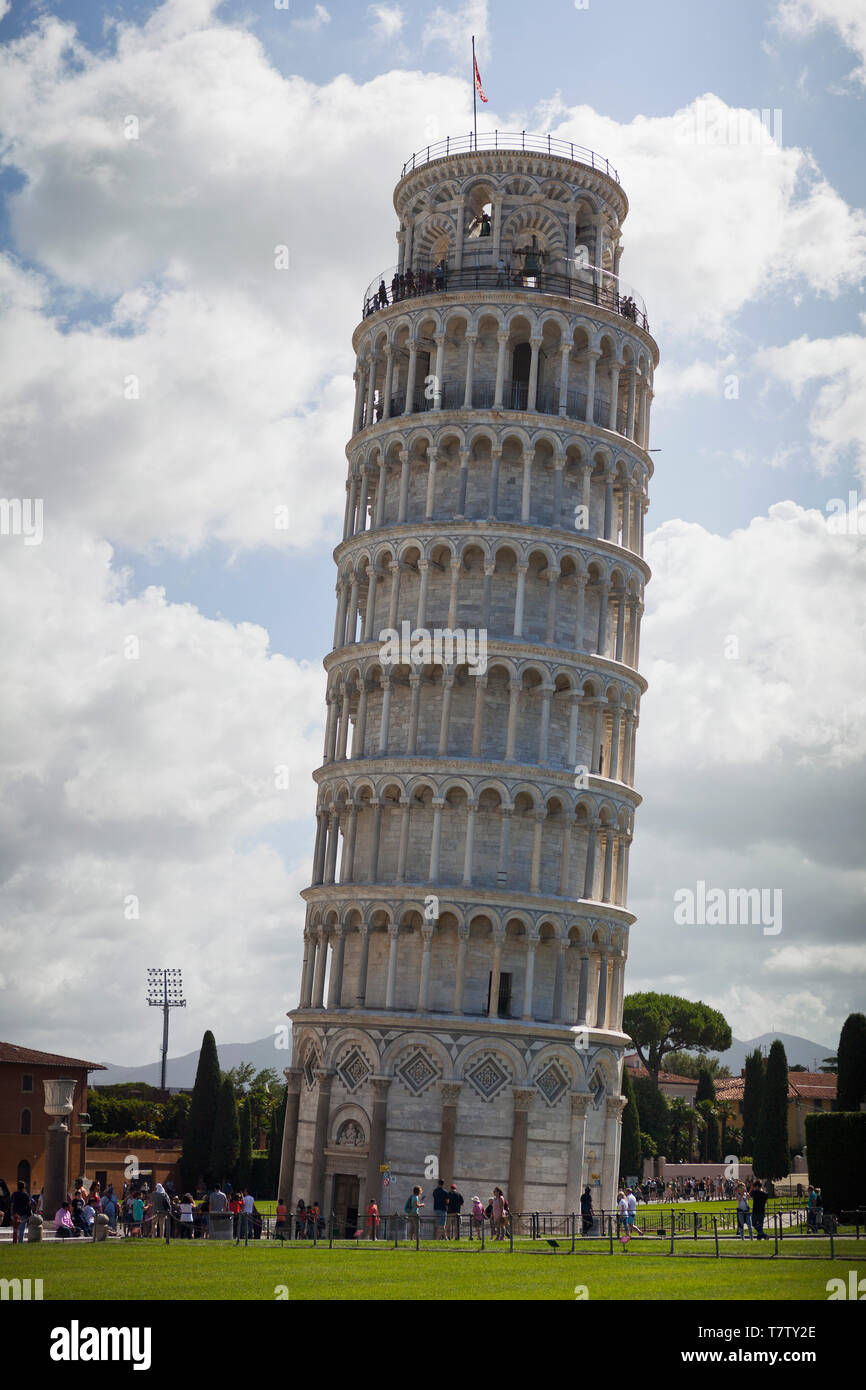 Tour de Pise Banque D'Images