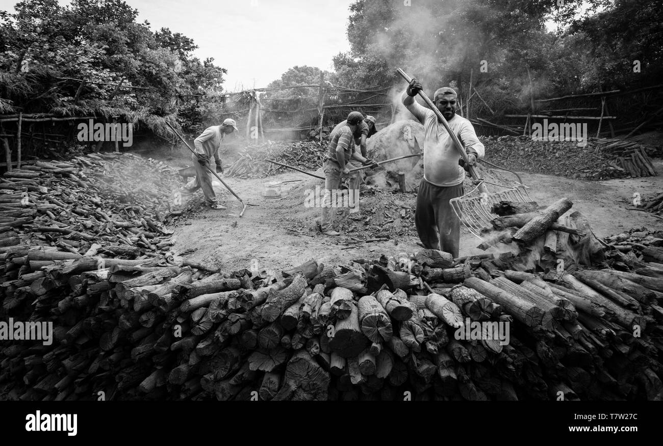 La fabrication du charbon de travailleurs pour l'utilisation de barbecue Banque D'Images