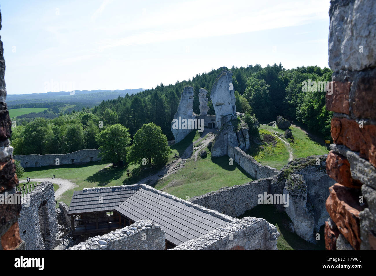 Ruines du château d'Ogrodzieniec, 'Trail des nids d'Aigle", la Pologne. Banque D'Images