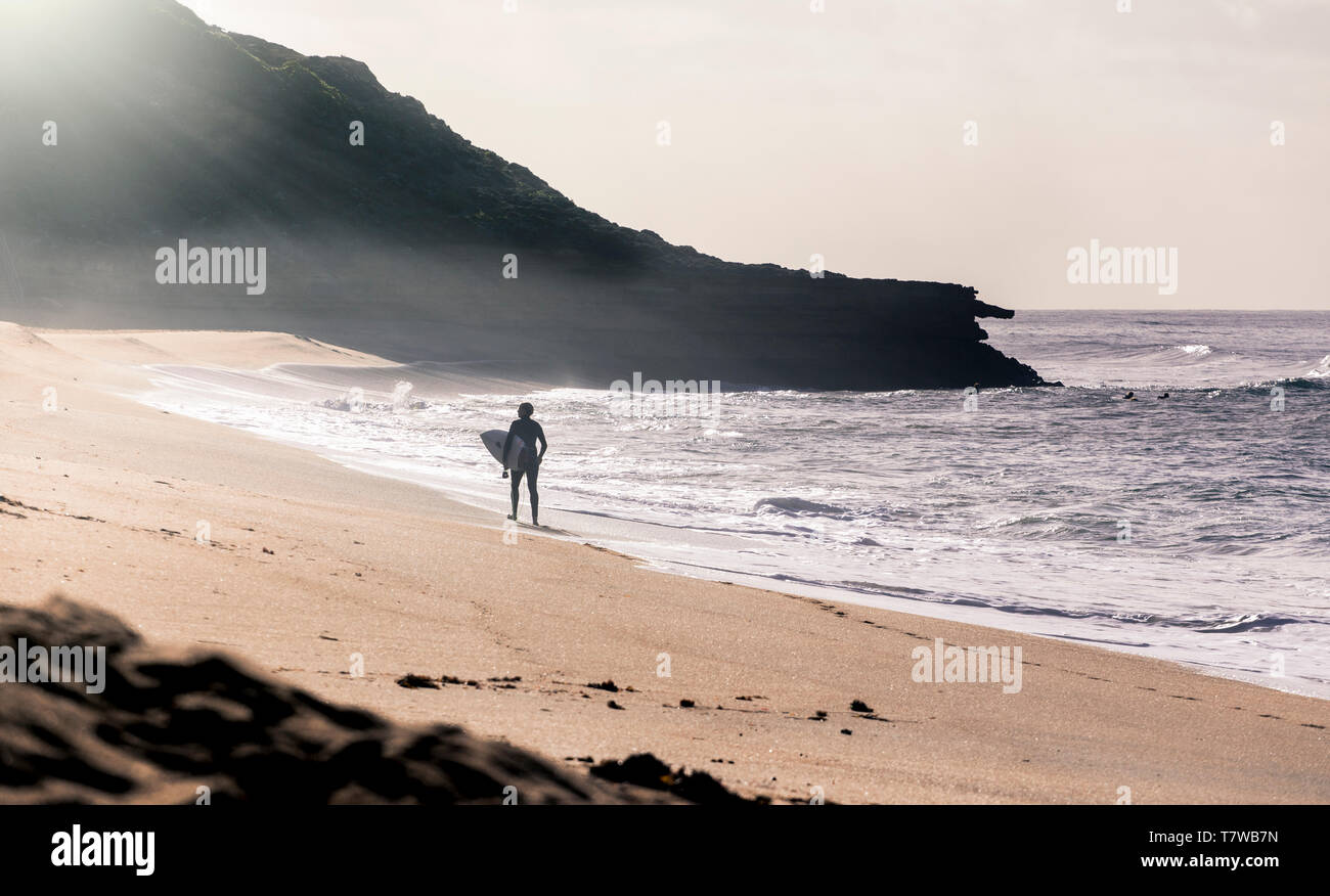 Surfer à Bells Beach, Torquay, Australie à un matin brumeux s'apprête à rejoindre d'autres surfers dans l'eau Banque D'Images