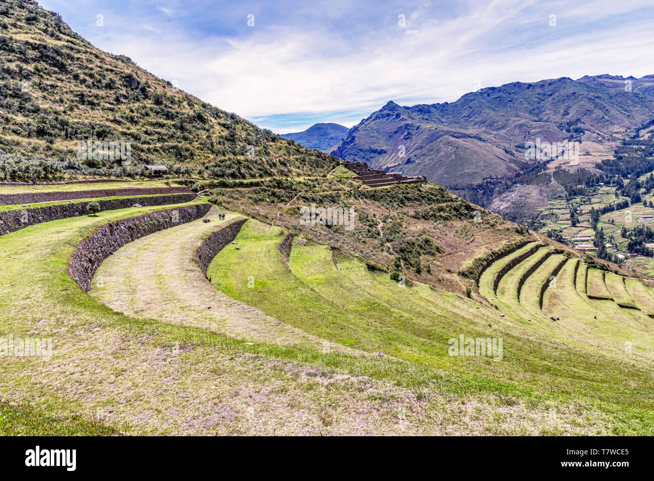 Voir à l'agriculture agriculture plantes Inca terrasses au parc archéologique dans les vallées sacrées des Incas à Pisaq près de Cusco au Pérou. Banque D'Images