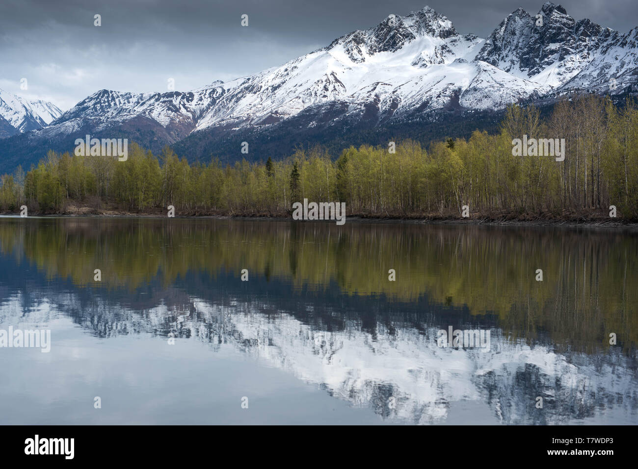 Réflexions de l'Alaska au printemps Banque D'Images