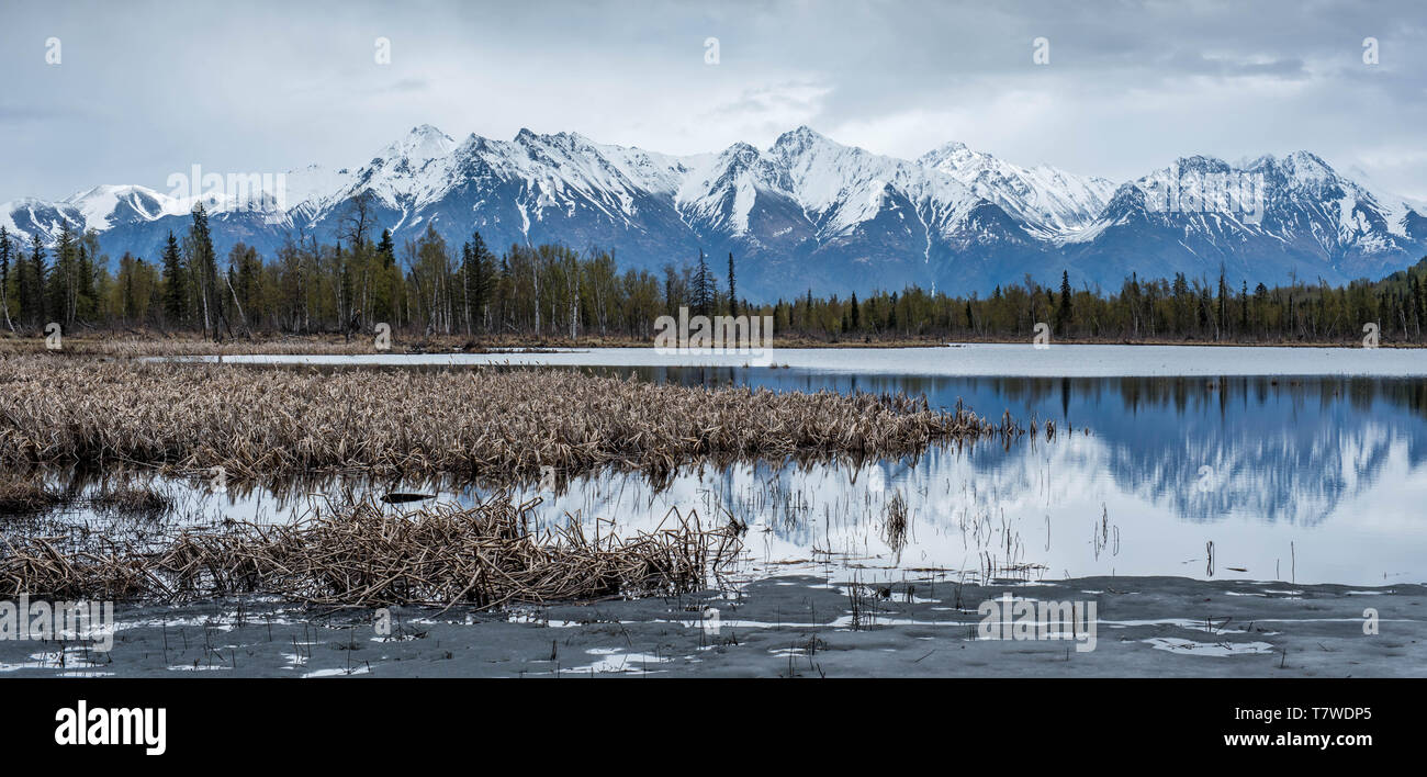 Réflexions de l'Alaska au printemps Banque D'Images