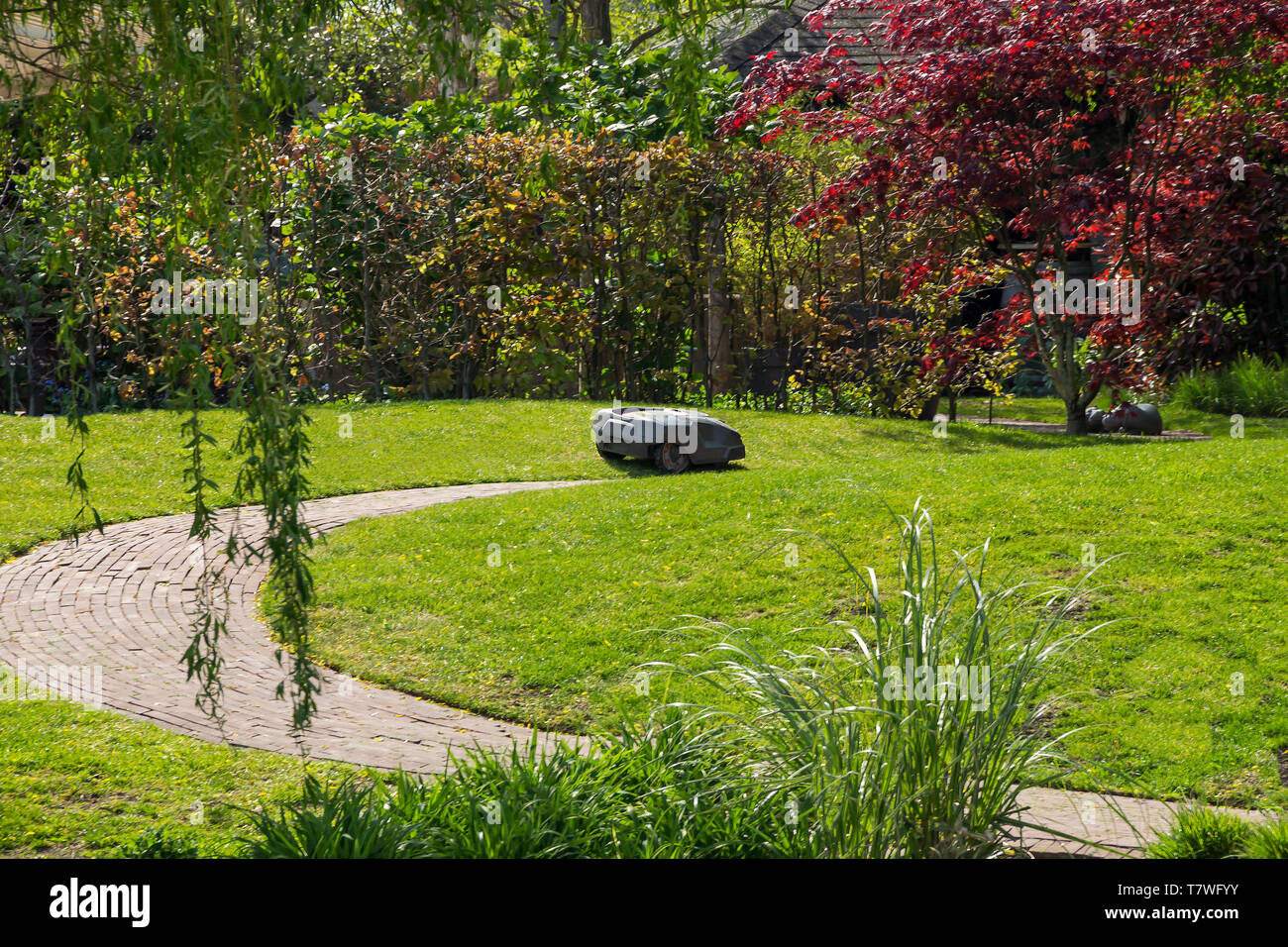 Robot Tondeuse fonctionne automatiquement dans un jardin Banque D'Images